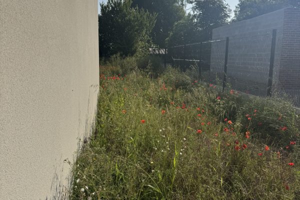 petanque / aménagement exterieur lievin petanque / aménagement exterieur lievin